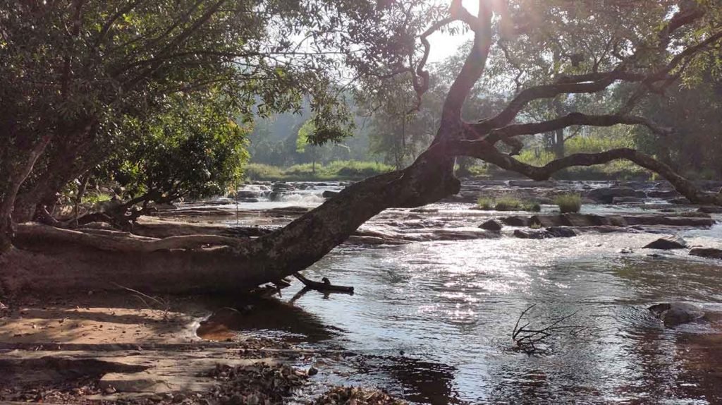 Coorg River