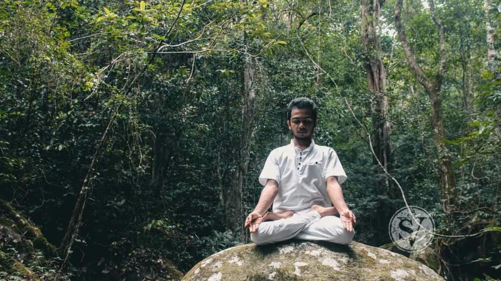 forest-bathing in Meditation