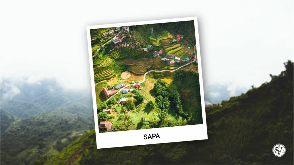 Sapa