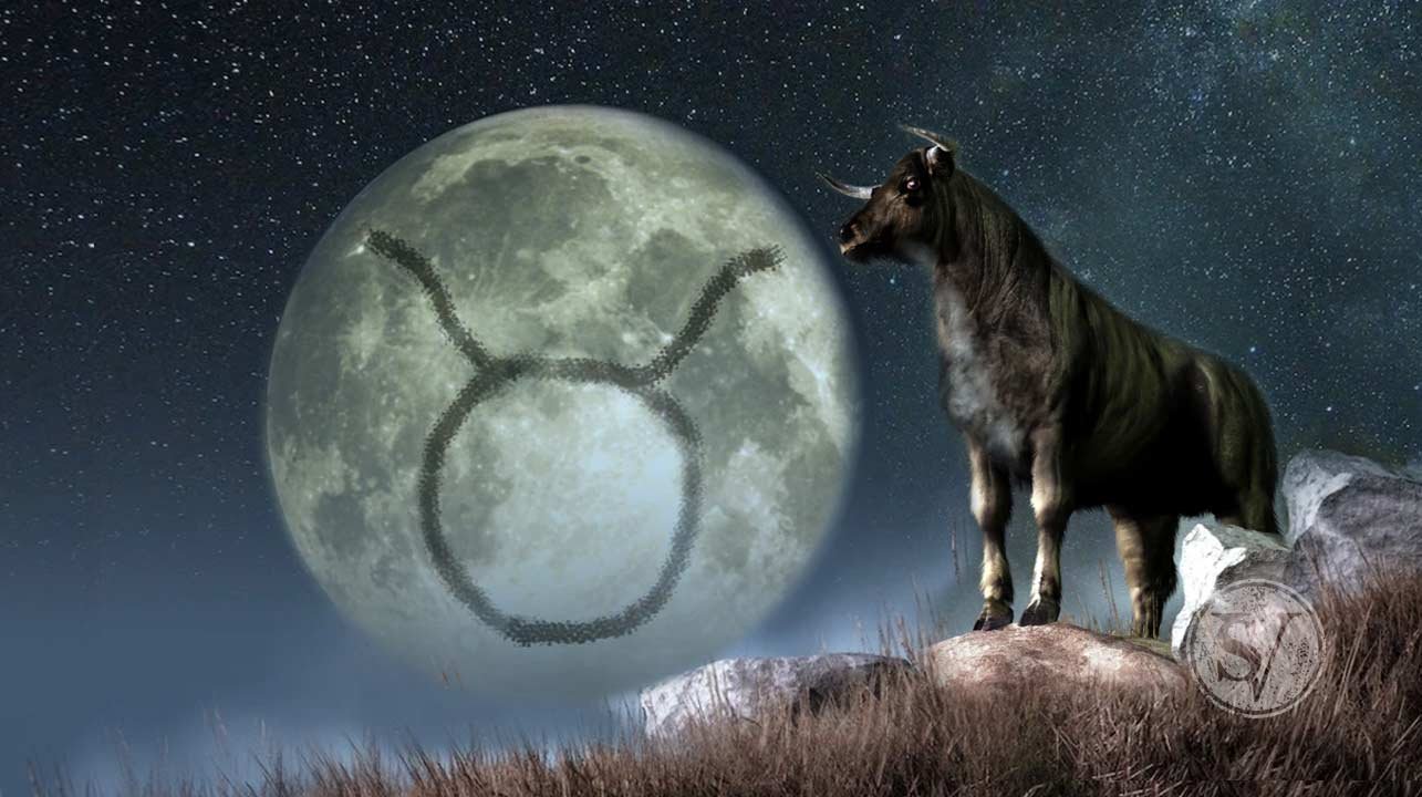 moon in taurus