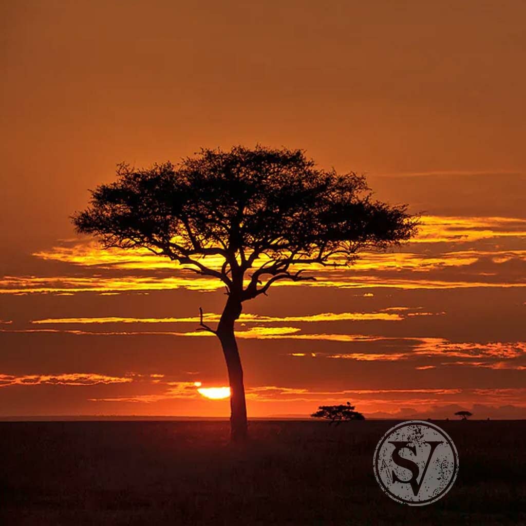 Masai Mara in Africa