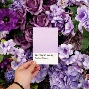 Pantone