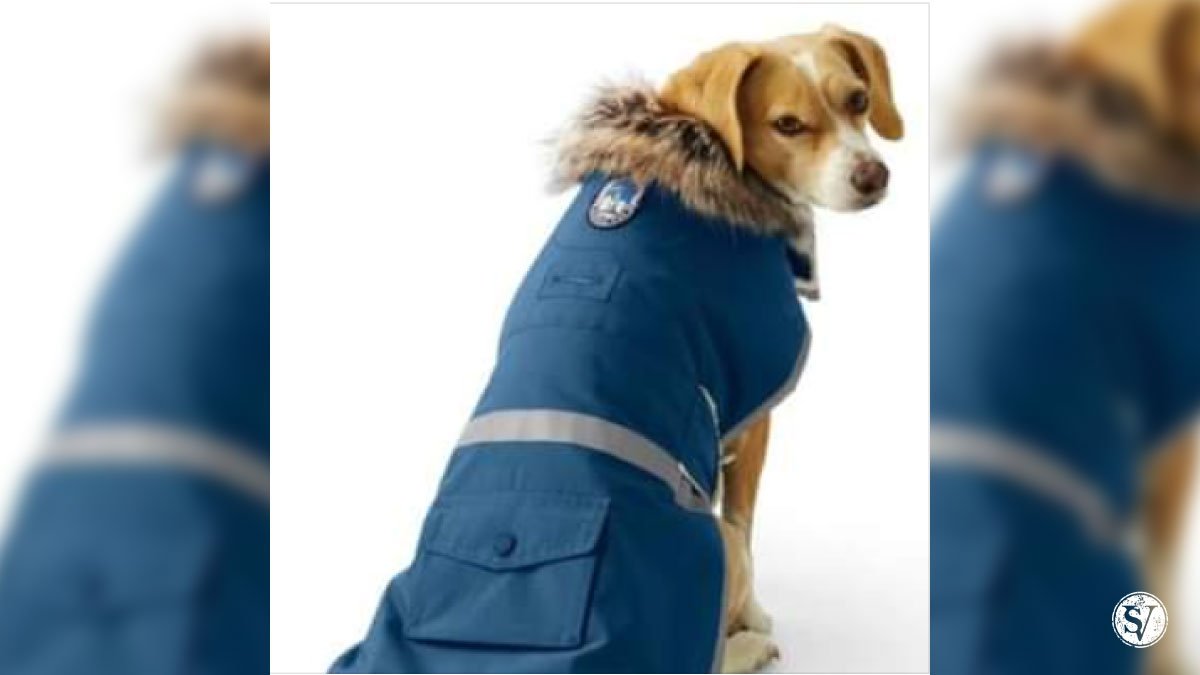 Winter Coats For Dogs